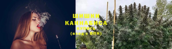 хмурый Зеленокумск