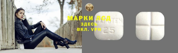 a pvp Зерноград