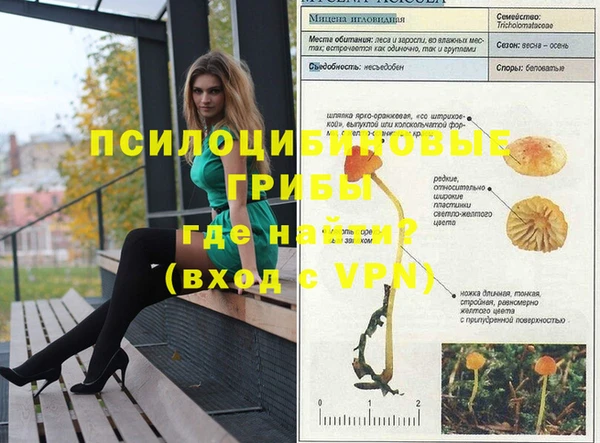 a pvp Зерноград