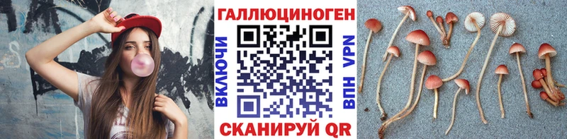 Галлюциногенные грибы Psilocybe  Купить закладки  Корсаков 